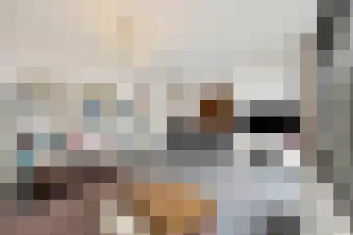 Hondsdraf 4 's-Hertogenbosch thumbnail 16