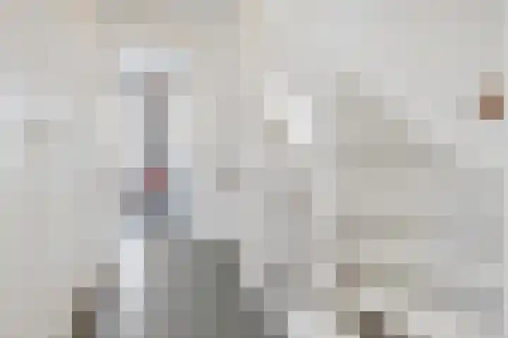 Hondsdraf 4 's-Hertogenbosch thumbnail 17
