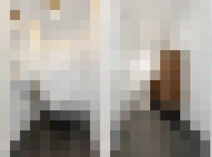 Hondsdraf 4 's-Hertogenbosch thumbnail 20