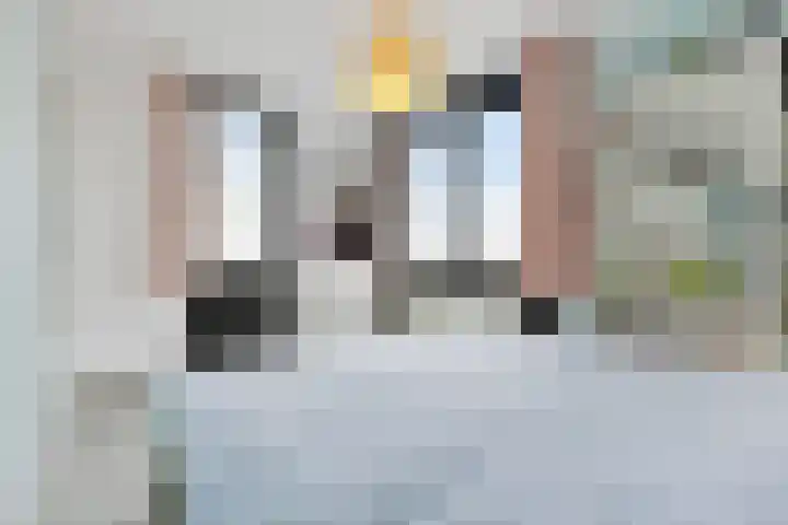 Hondsdraf 4 's-Hertogenbosch thumbnail 27