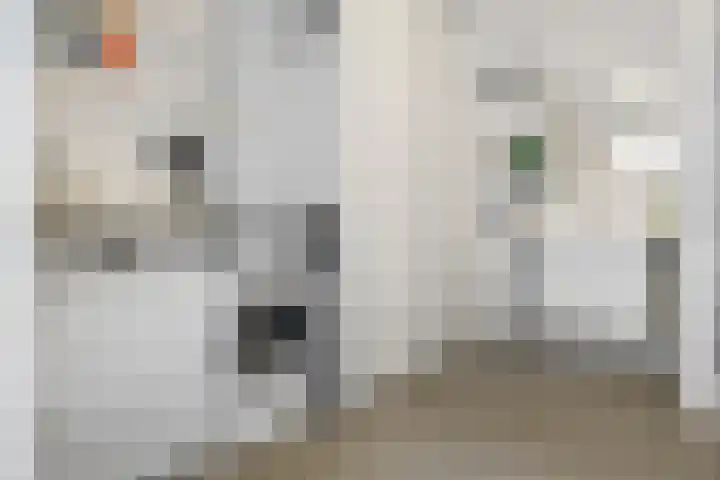 Hondsdraf 4 's-Hertogenbosch thumbnail 28