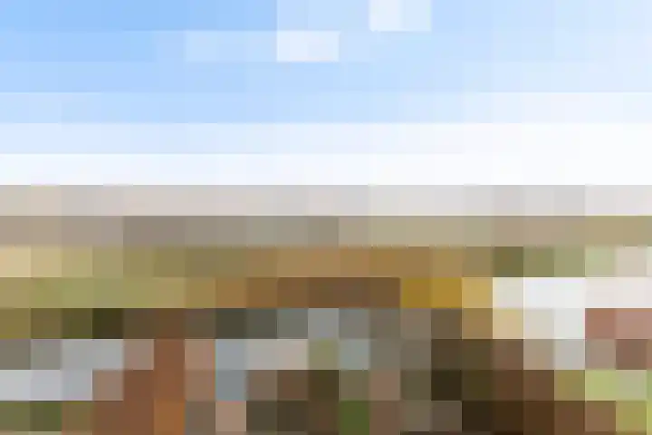 Hondsdraf 4 's-Hertogenbosch thumbnail 33