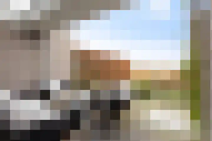 Hondsdraf 4 's-Hertogenbosch thumbnail 35