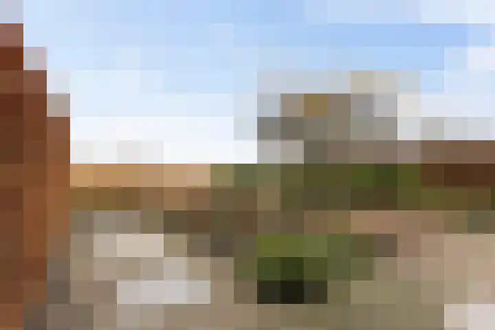 Hondsdraf 4 's-Hertogenbosch thumbnail 36
