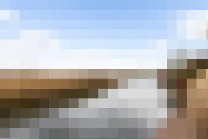 Hondsdraf 4 's-Hertogenbosch thumbnail 37