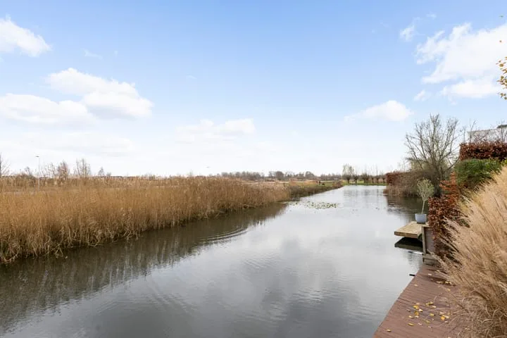 Hondsdraf 4 's-Hertogenbosch thumbnail 37
