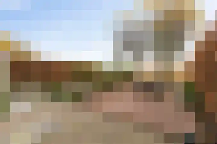 Hondsdraf 4 's-Hertogenbosch thumbnail 39