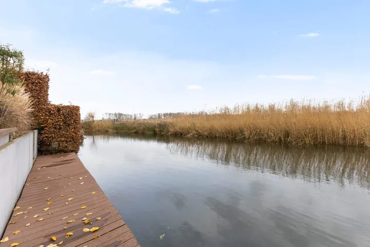 Hondsdraf 4 's-Hertogenbosch thumbnail 40