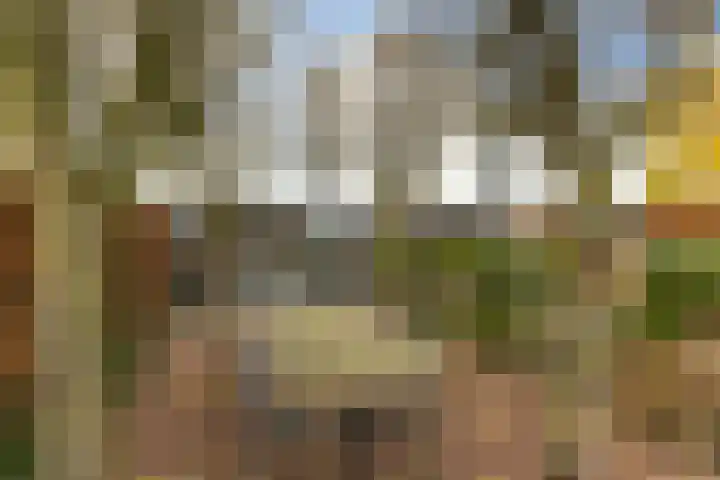 Hondsdraf 4 's-Hertogenbosch thumbnail 41