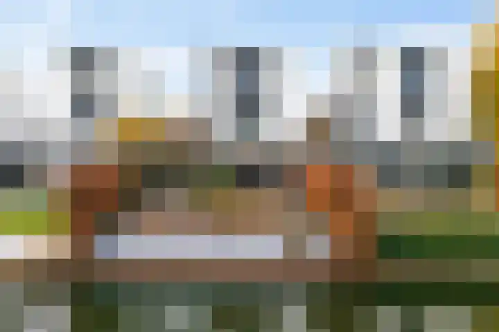 Hondsdraf 4 's-Hertogenbosch thumbnail 42