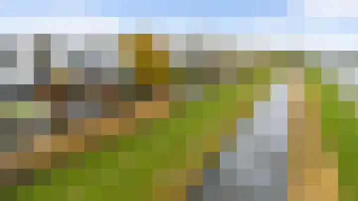 Hondsdraf 4 's-Hertogenbosch thumbnail 43