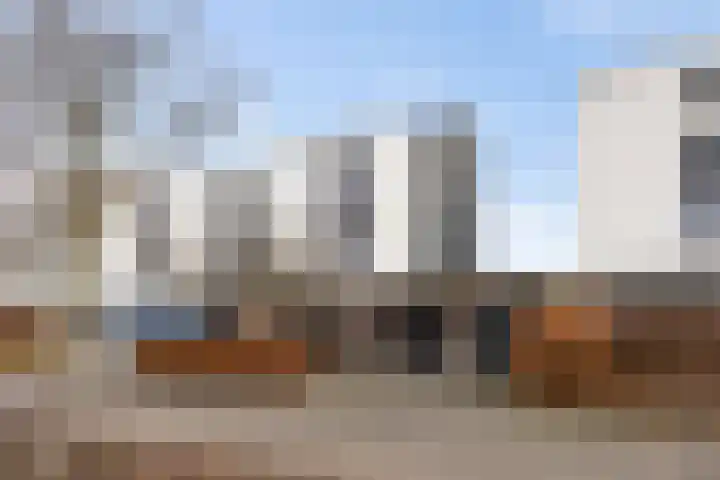 Hondsdraf 4 's-Hertogenbosch thumbnail 45