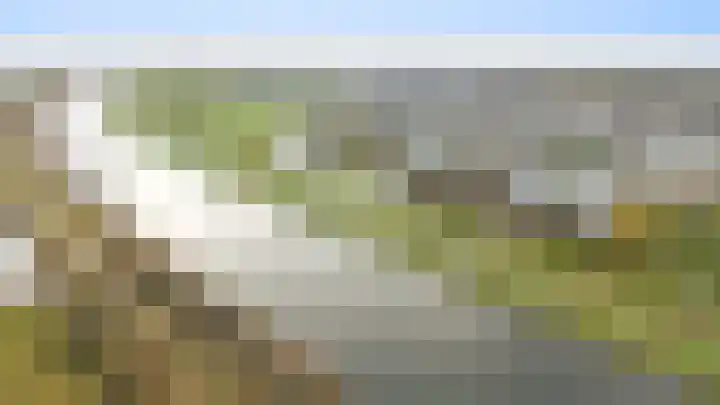 Hondsdraf 4 's-Hertogenbosch thumbnail 46