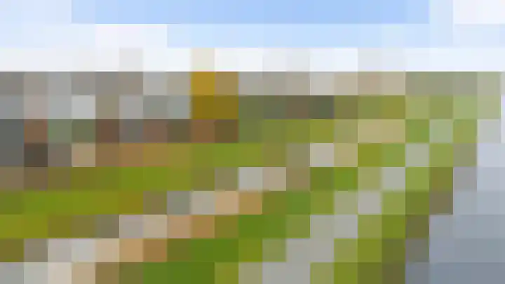 Hondsdraf 4 's-Hertogenbosch thumbnail 47