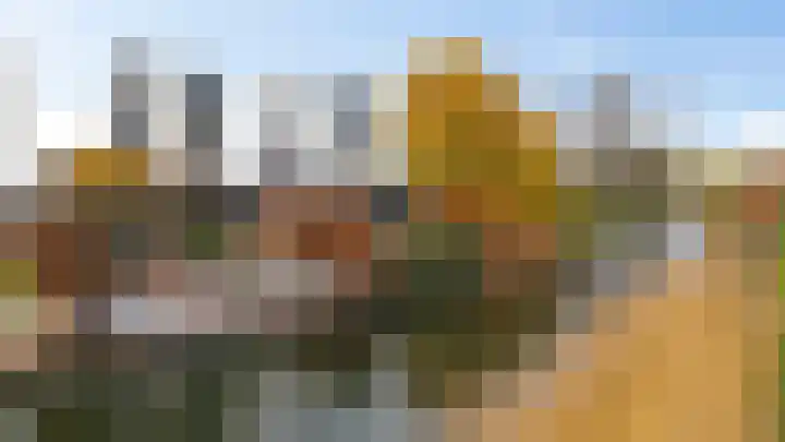 Hondsdraf 4 's-Hertogenbosch thumbnail 48