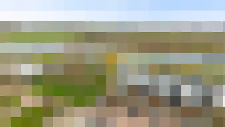 Hondsdraf 4 's-Hertogenbosch thumbnail 5