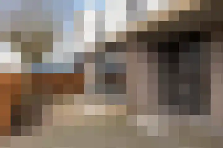 Hondsdraf 4 's-Hertogenbosch thumbnail 6