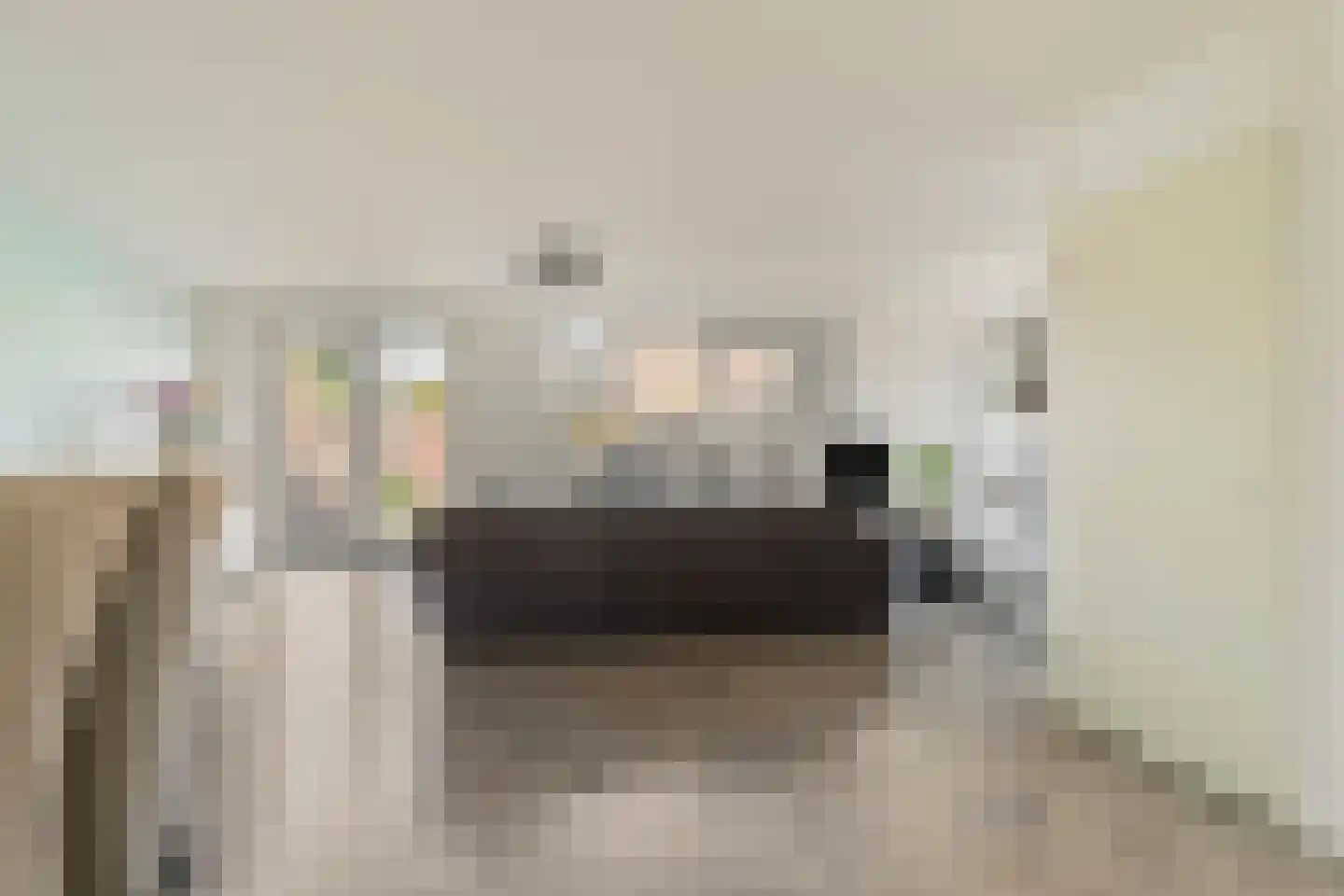 Hondsdraf 41 Maasland thumbnail 11