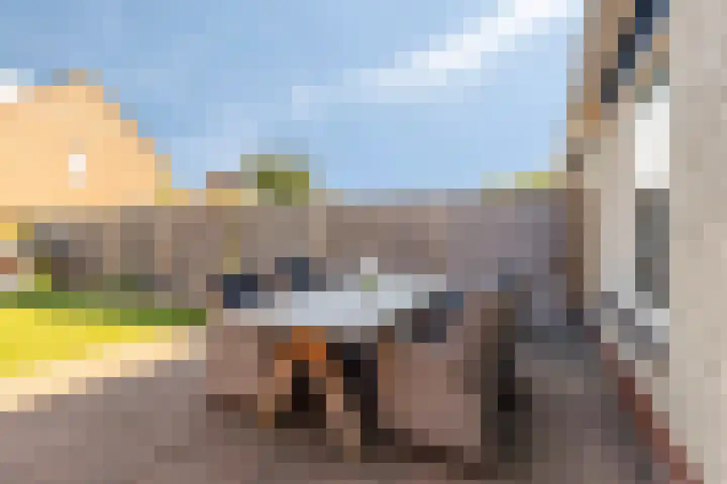 Hondsdraf 41 Maasland thumbnail 14