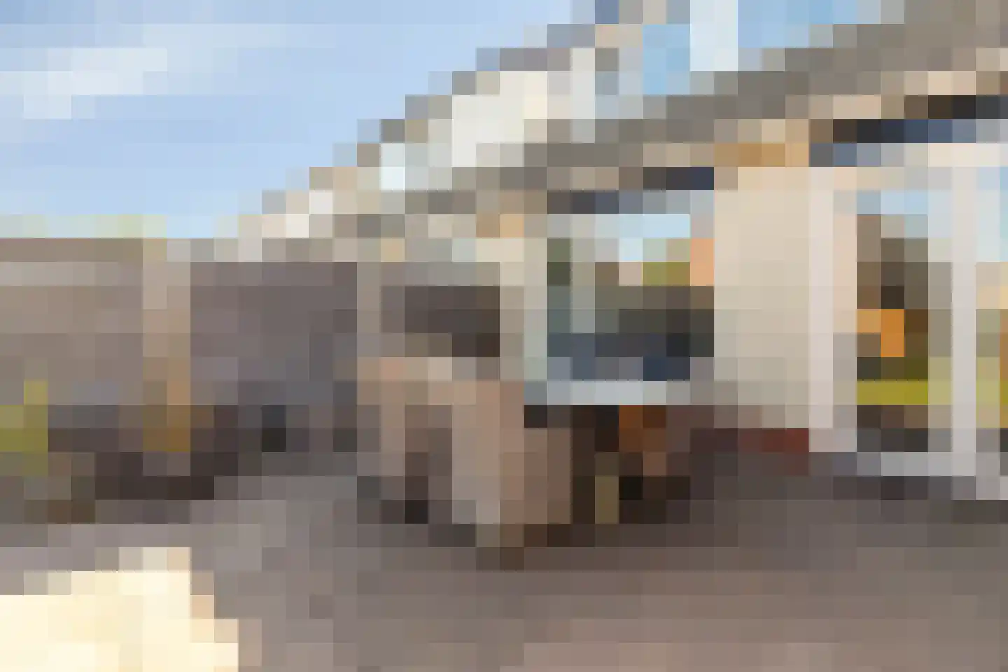 Hondsdraf 41 Maasland thumbnail 15