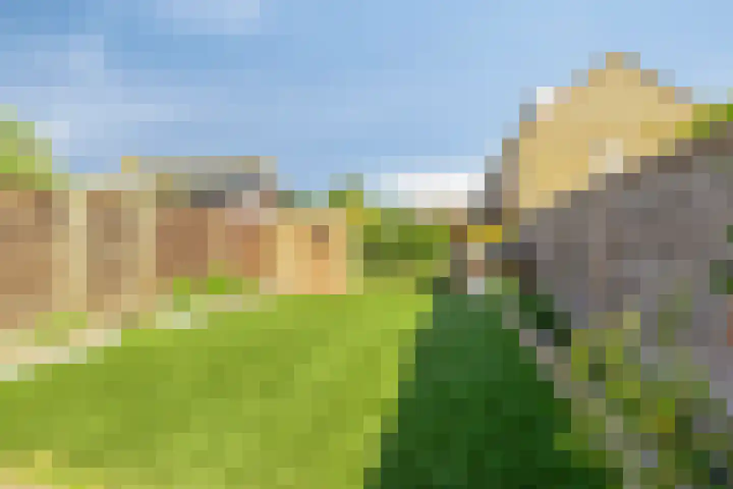 Hondsdraf 41 Maasland thumbnail 17