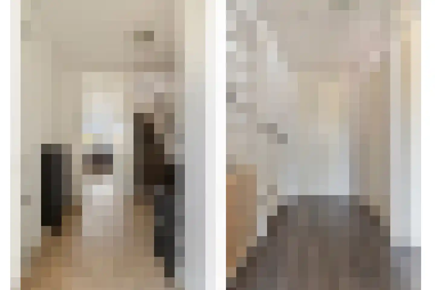 Hondsdraf 41 Maasland thumbnail 18