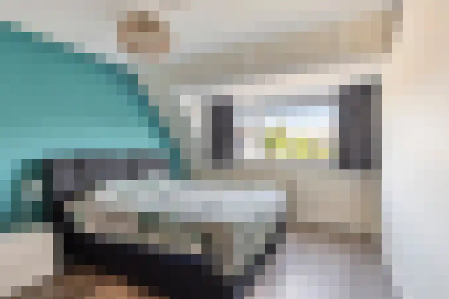 Hondsdraf 41 Maasland thumbnail 19