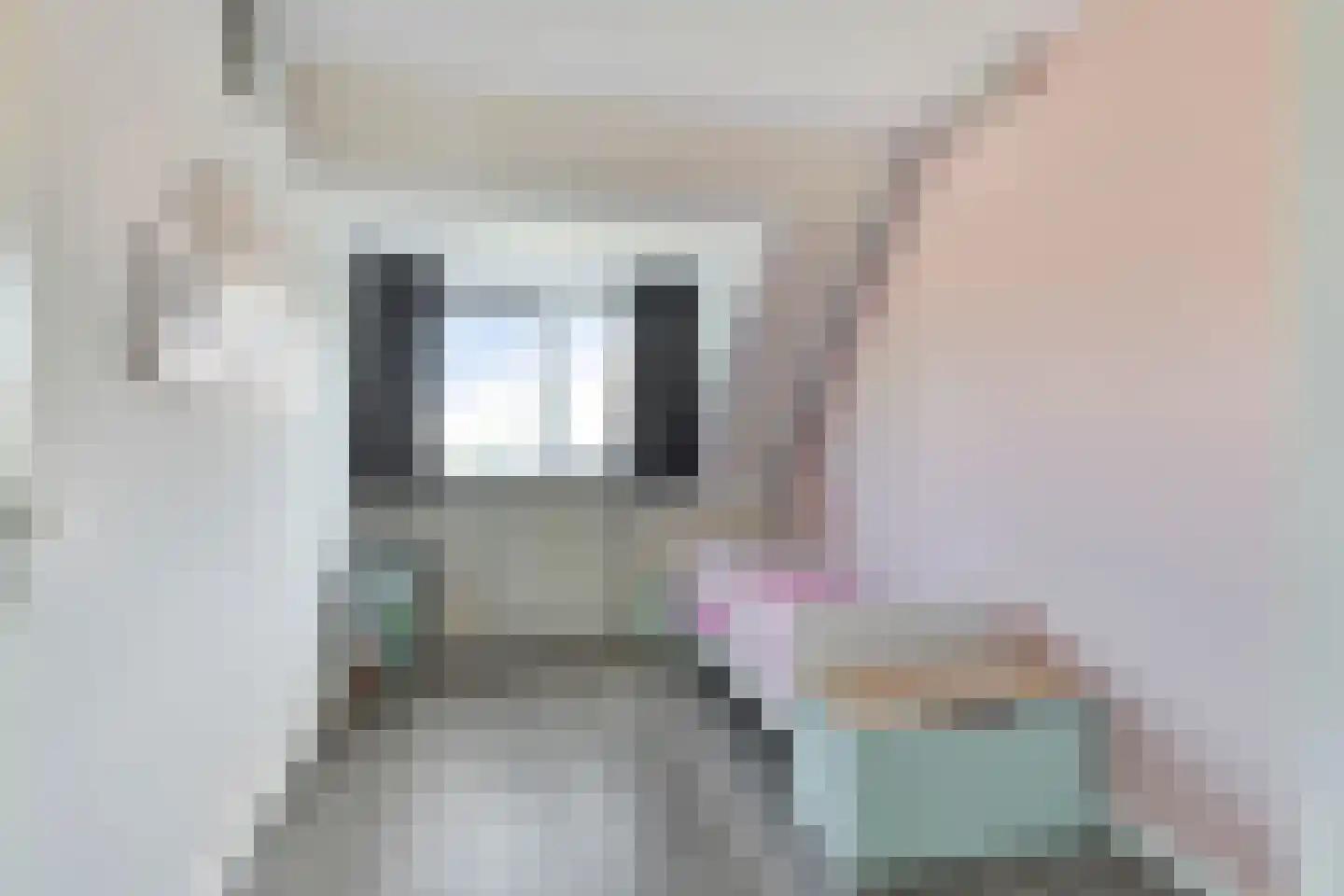 Hondsdraf 41 Maasland thumbnail 24