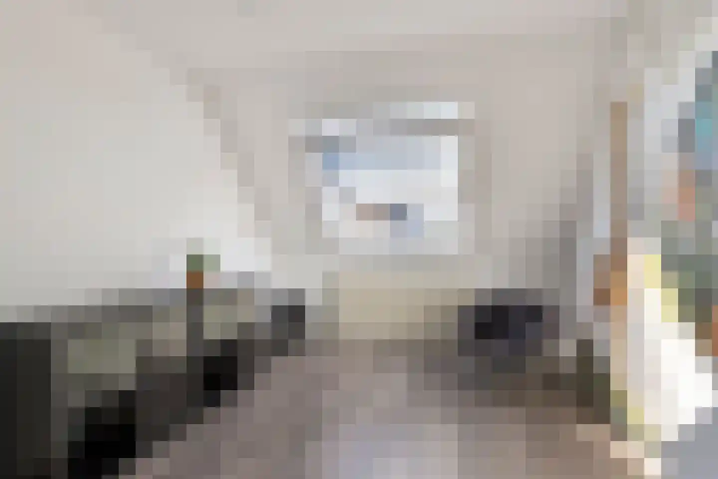 Hondsdraf 41 Maasland thumbnail 28