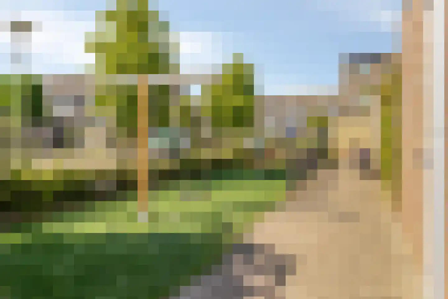 Hondsdraf 41 Maasland thumbnail 29