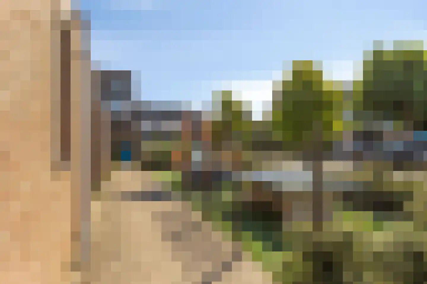 Hondsdraf 41 Maasland thumbnail 30
