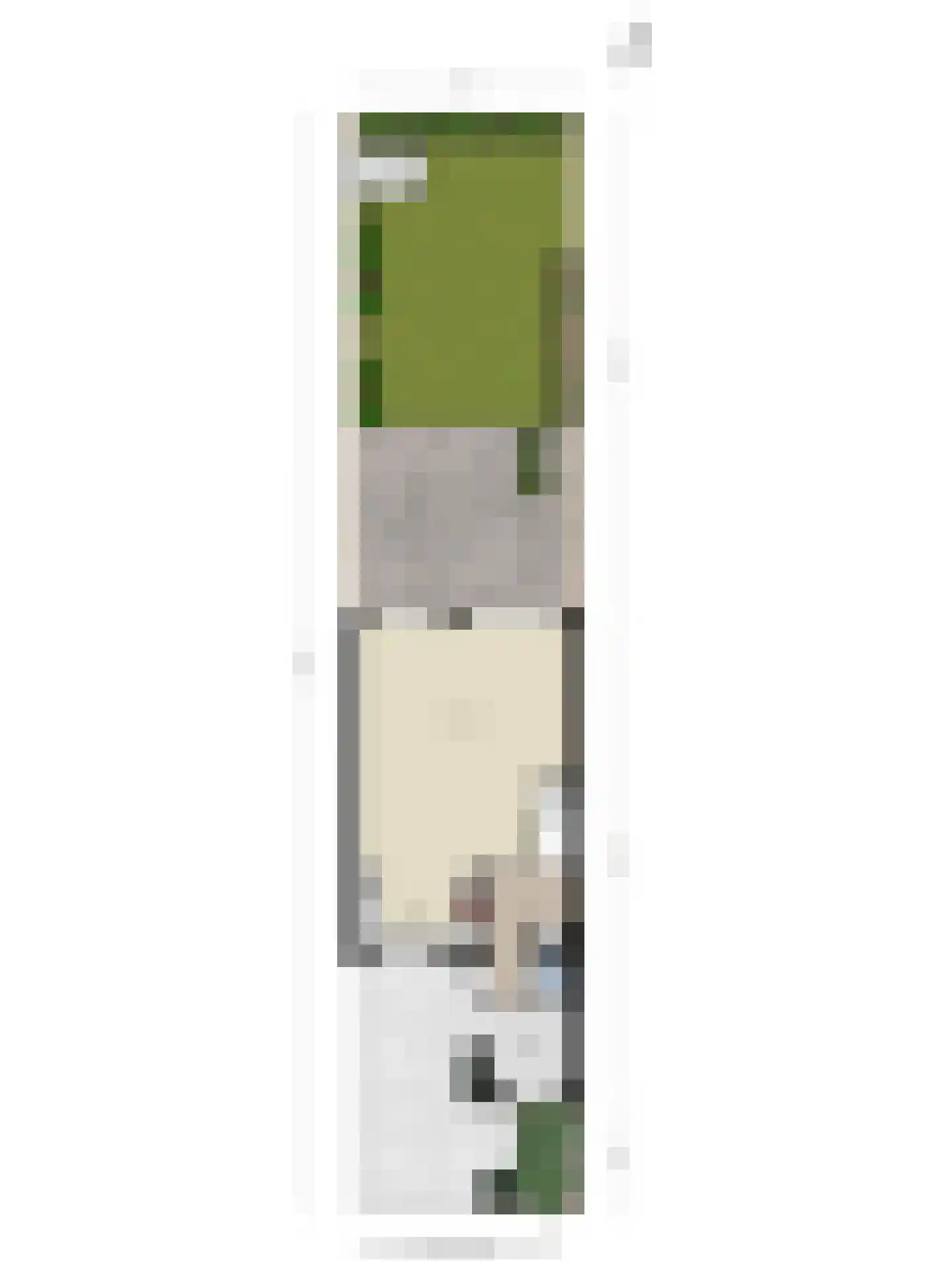 Hondsdraf 41 Maasland thumbnail 32