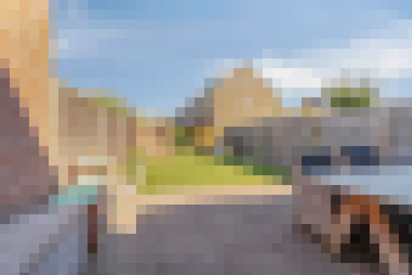 Hondsdraf 41 Maasland thumbnail 4