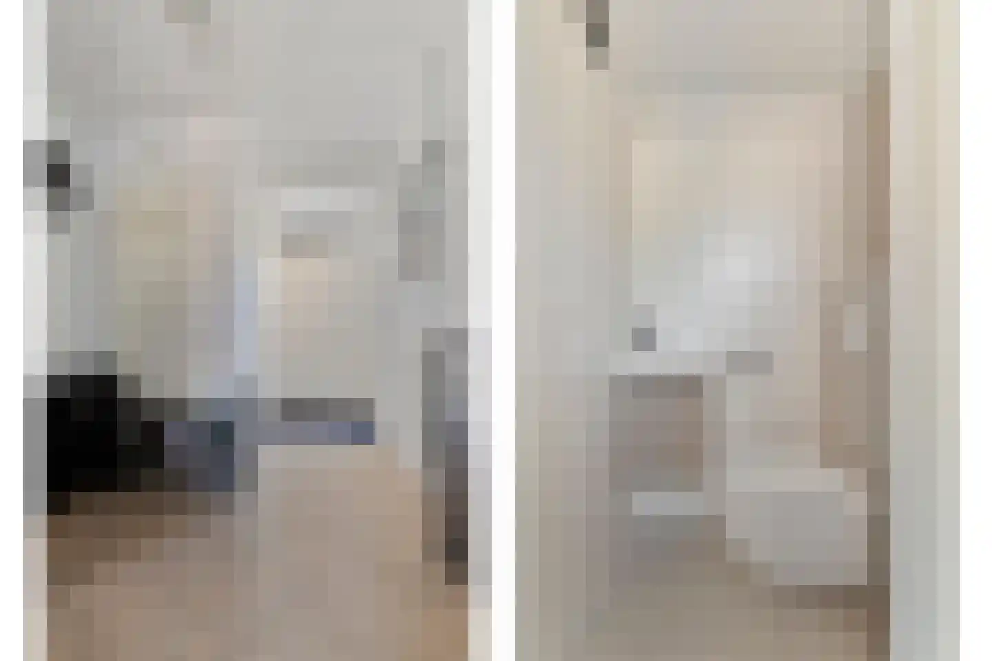 Hondsdraf 41 Maasland thumbnail 7