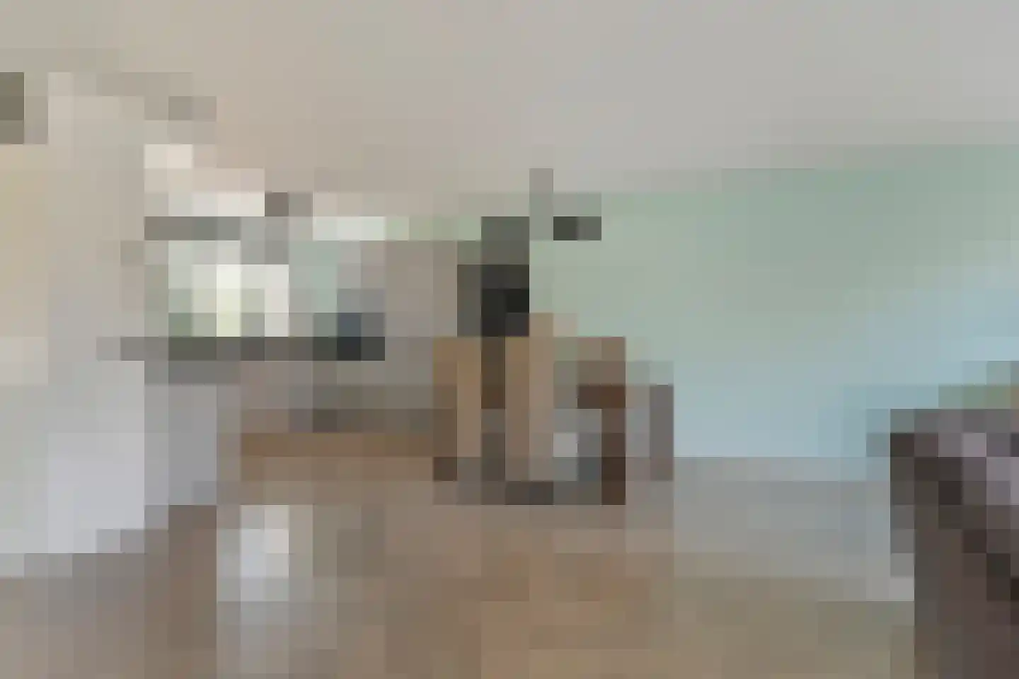Hondsdraf 41 Maasland thumbnail 8