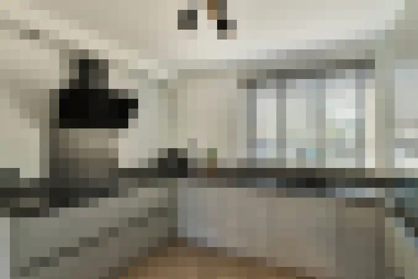 Hondsdraf 41 Maasland thumbnail 9