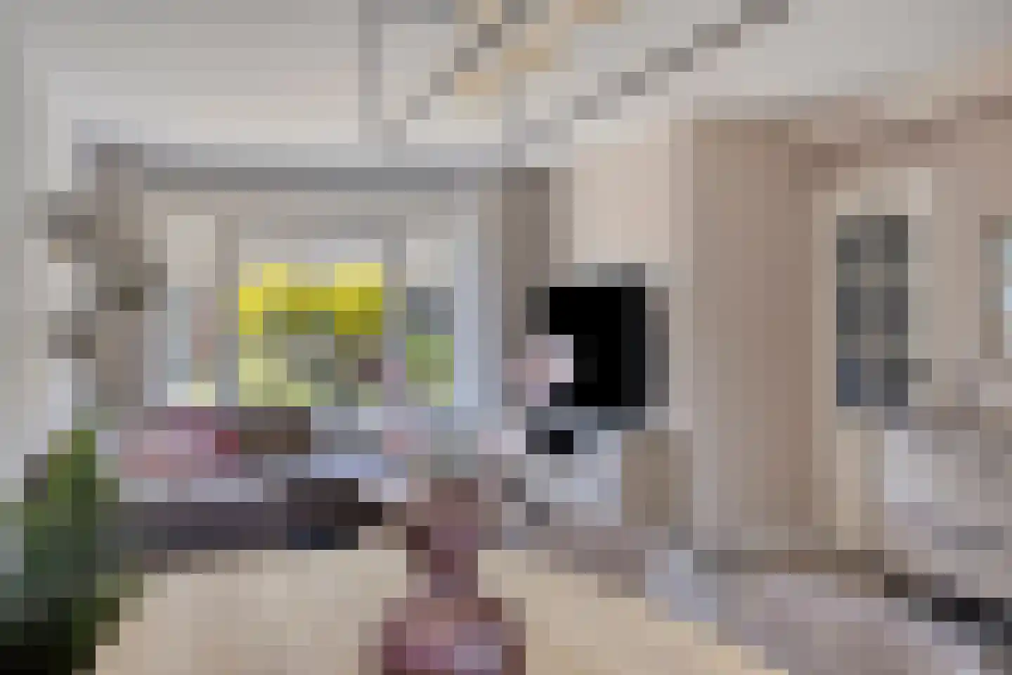 Hondsdraf 42 Swifterbant thumbnail 12