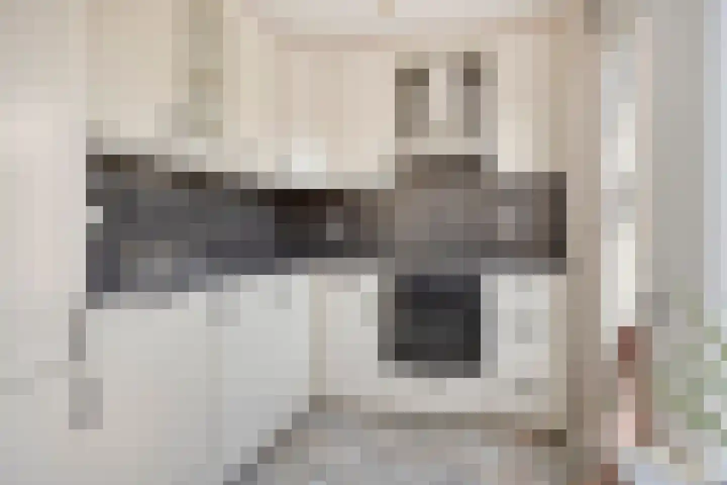Hondsdraf 42 Swifterbant thumbnail 16