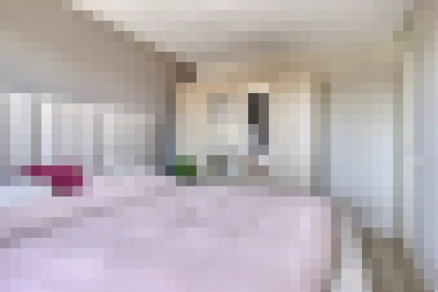 Hondsdraf 42 Swifterbant thumbnail 21