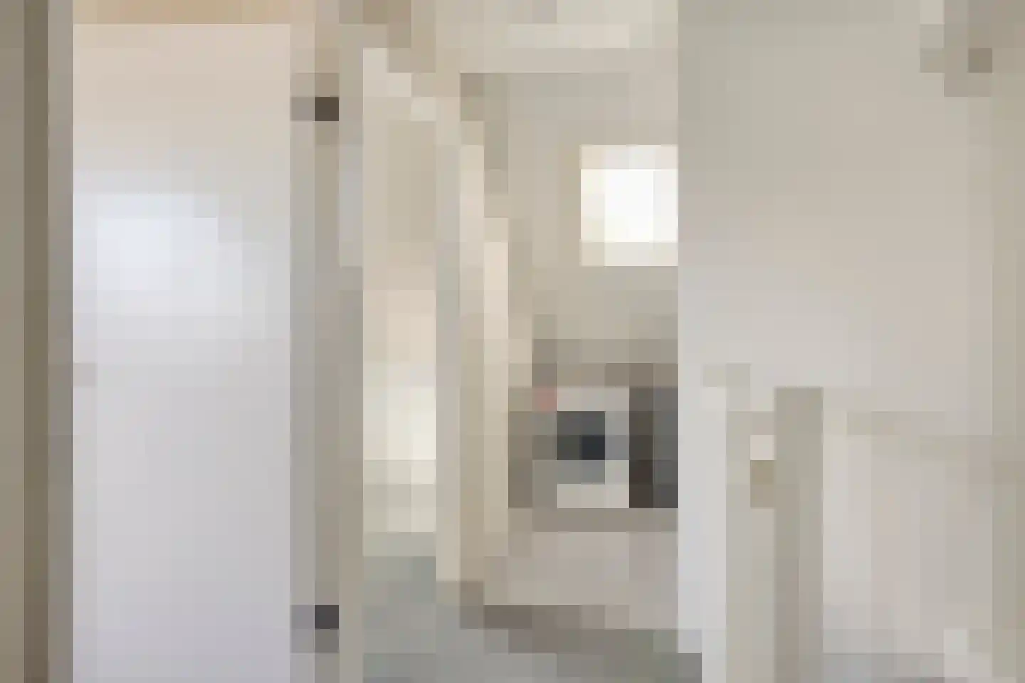 Hondsdraf 42 Swifterbant thumbnail 27