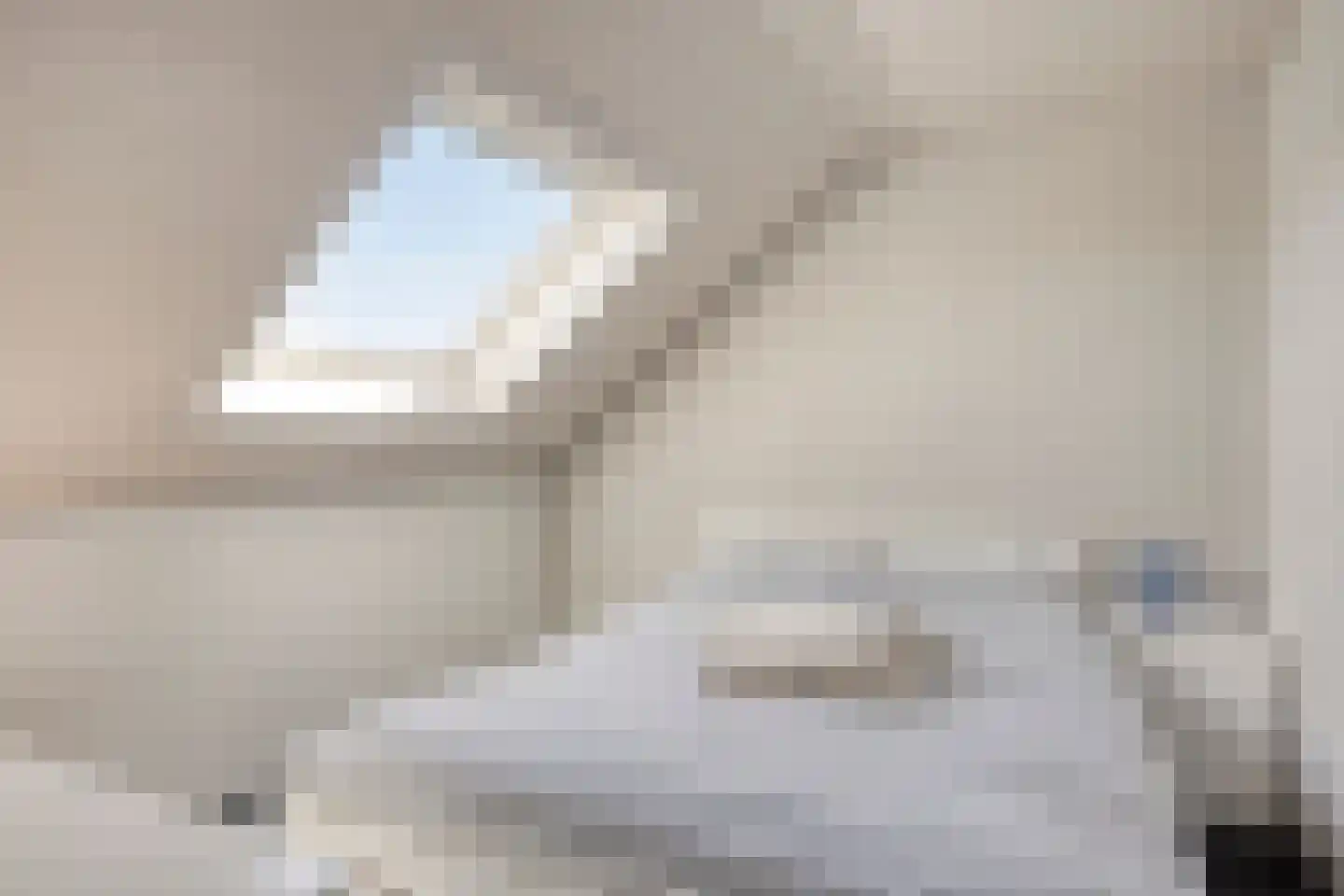 Hondsdraf 42 Swifterbant thumbnail 30