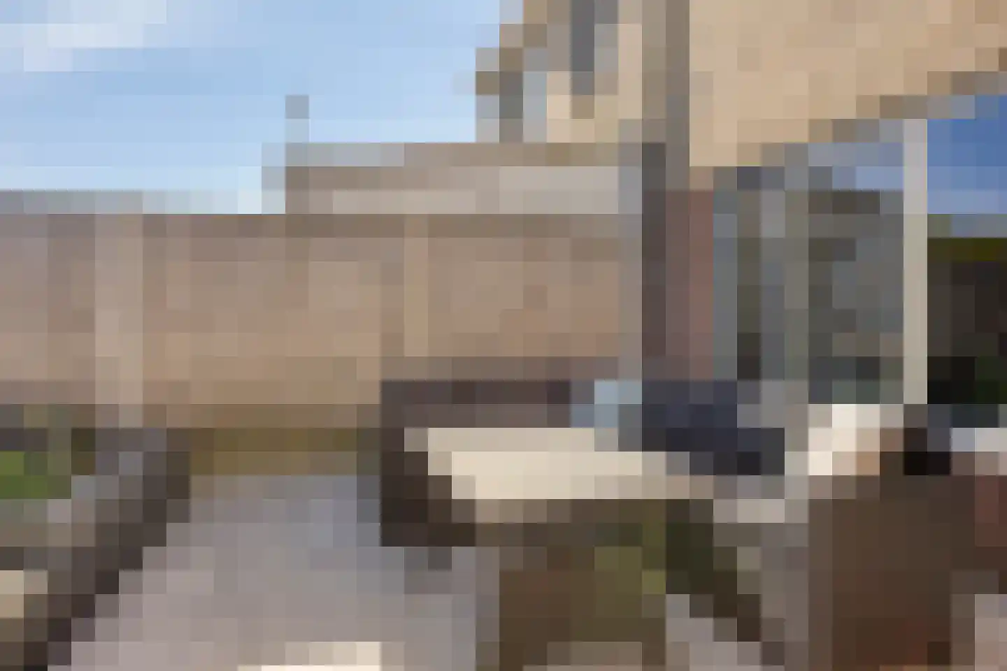 Hondsdraf 42 Swifterbant thumbnail 33