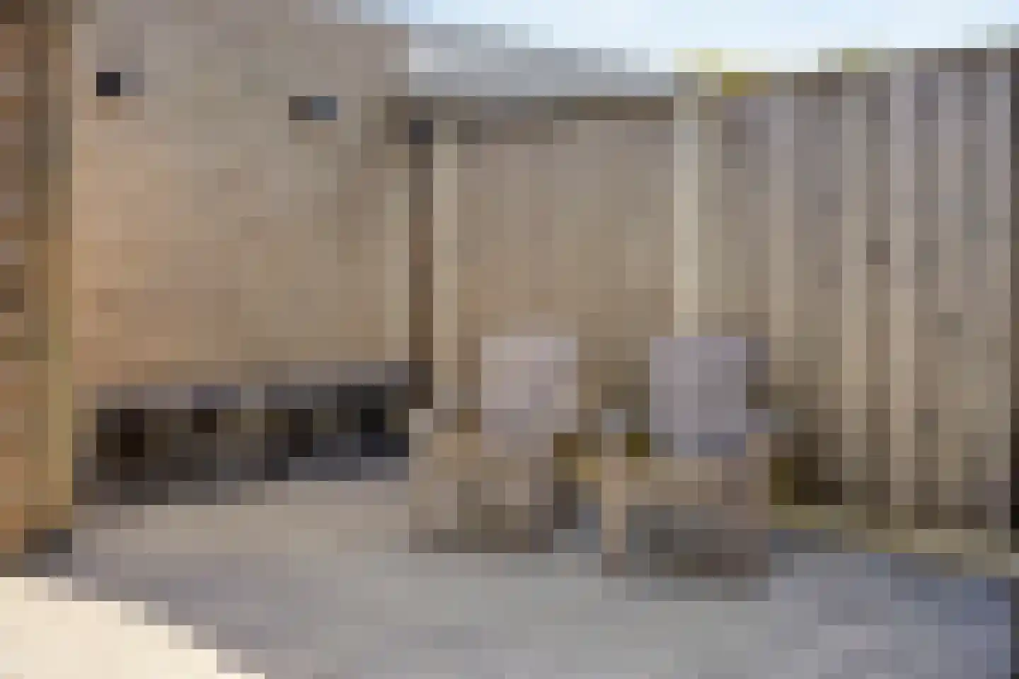 Hondsdraf 42 Swifterbant thumbnail 35