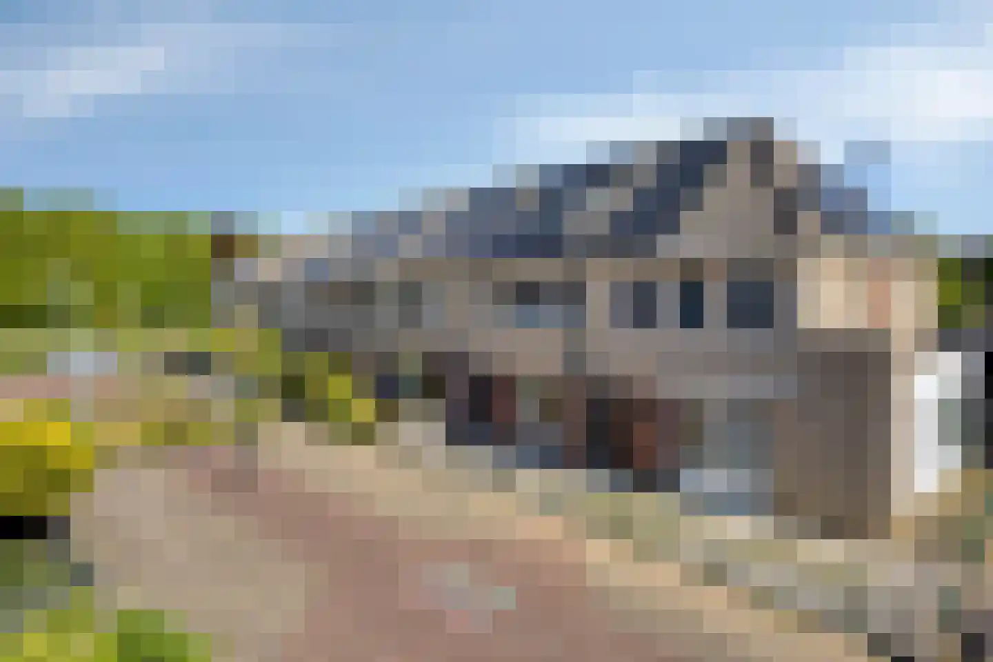 Hondsdraf 42 Swifterbant thumbnail 41