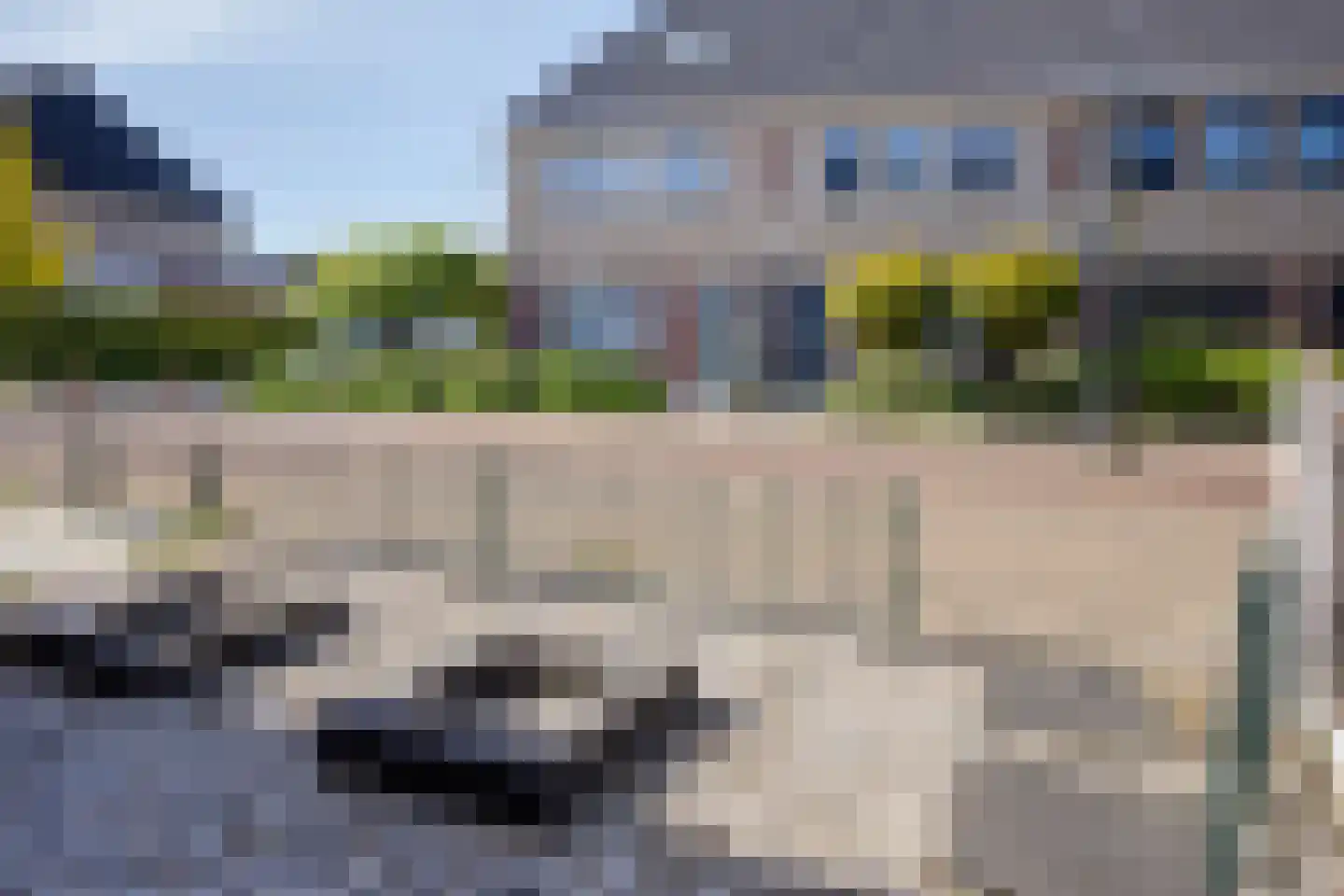 Hondsdraf 42 Swifterbant thumbnail 44
