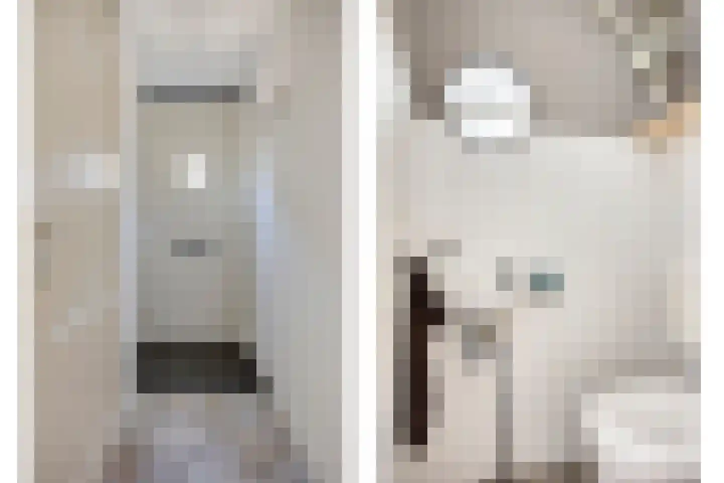 Hondsdraf 42 Swifterbant thumbnail 6