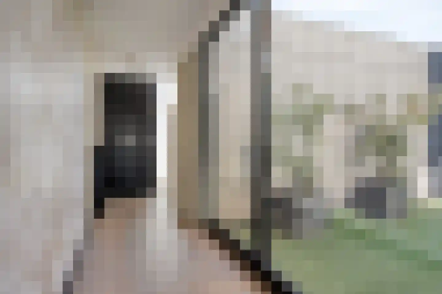 Hondsdraf 43 's-Hertogenbosch thumbnail 21