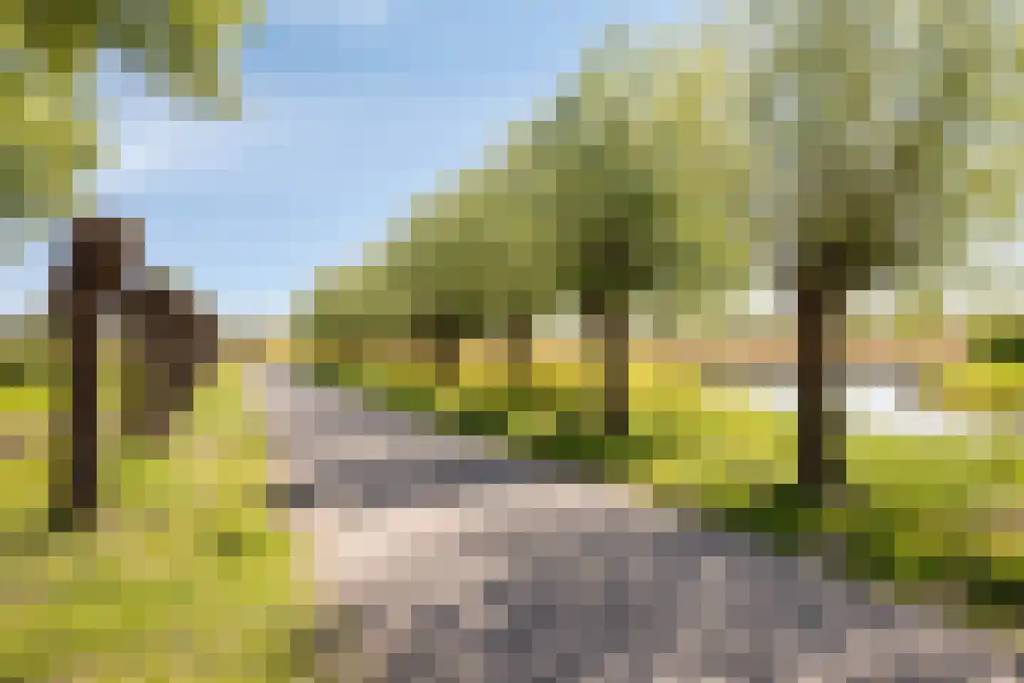 Hondsdraf 43 's-Hertogenbosch thumbnail 23