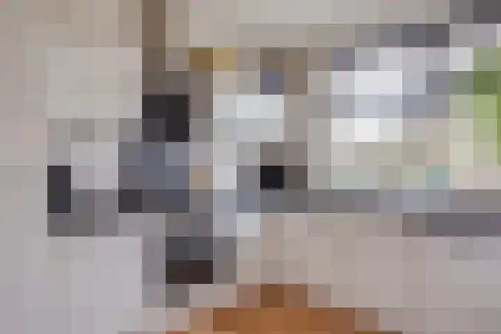 Hondsdraf 49 Leusden thumbnail 13