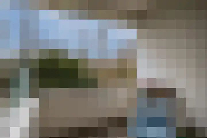Hondsdraf 49 Leusden thumbnail 19